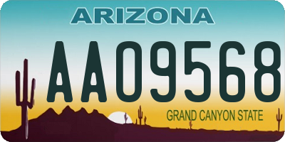 AZ license plate AAO9568