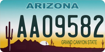 AZ license plate AAO9582