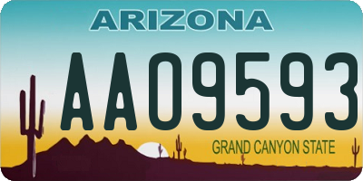 AZ license plate AAO9593