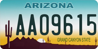 AZ license plate AAO9615