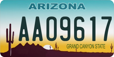 AZ license plate AAO9617