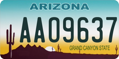 AZ license plate AAO9637