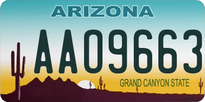 AZ license plate AAO9663