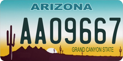 AZ license plate AAO9667