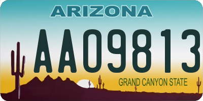 AZ license plate AAO9813