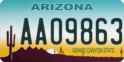 AZ license plate AAO9863