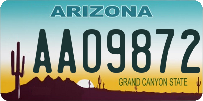 AZ license plate AAO9872