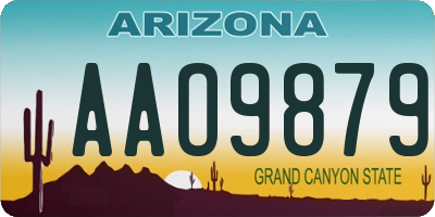 AZ license plate AAO9879