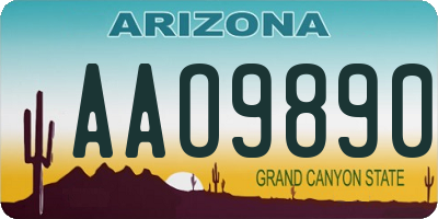 AZ license plate AAO9890
