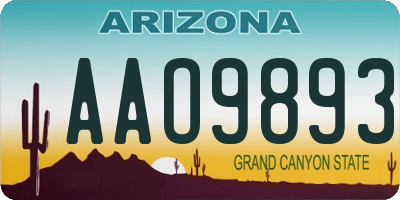 AZ license plate AAO9893