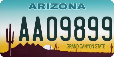 AZ license plate AAO9899