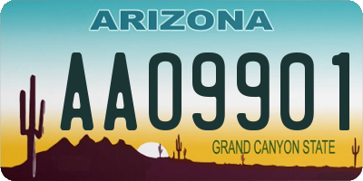 AZ license plate AAO9901