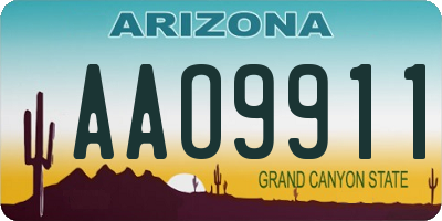 AZ license plate AAO9911