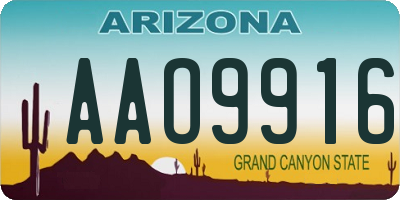 AZ license plate AAO9916