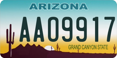 AZ license plate AAO9917