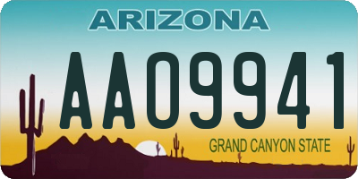 AZ license plate AAO9941