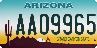 AZ license plate AAO9965