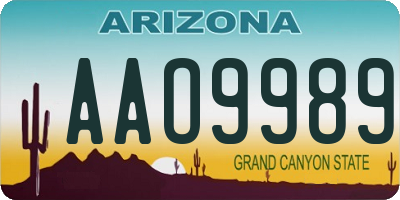 AZ license plate AAO9989