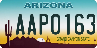 AZ license plate AAP0163