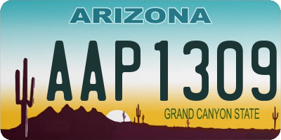 AZ license plate AAP1309