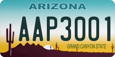 AZ license plate AAP3001