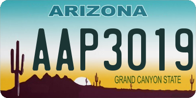 AZ license plate AAP3019