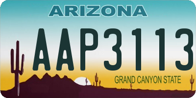 AZ license plate AAP3113