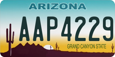 AZ license plate AAP4229