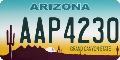 AZ license plate AAP4230