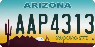 AZ license plate AAP4313