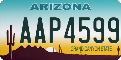 AZ license plate AAP4599