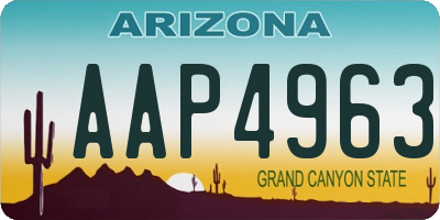 AZ license plate AAP4963