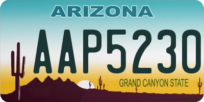 AZ license plate AAP5230