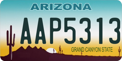 AZ license plate AAP5313
