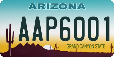 AZ license plate AAP6001