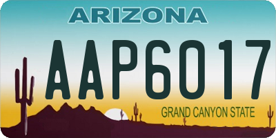 AZ license plate AAP6017