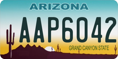 AZ license plate AAP6042