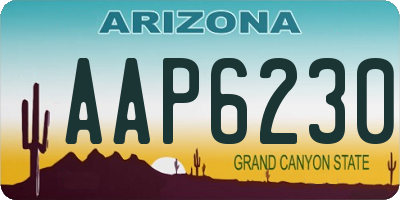 AZ license plate AAP6230