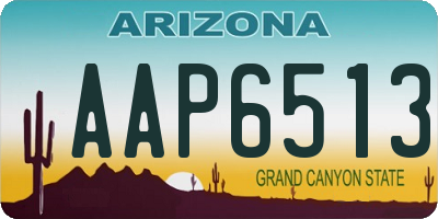 AZ license plate AAP6513
