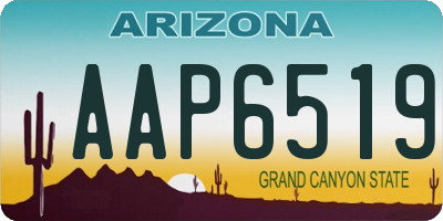 AZ license plate AAP6519