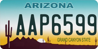 AZ license plate AAP6599