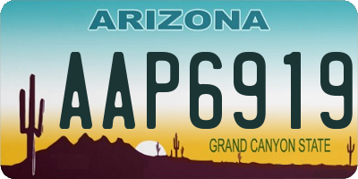 AZ license plate AAP6919