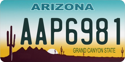 AZ license plate AAP6981