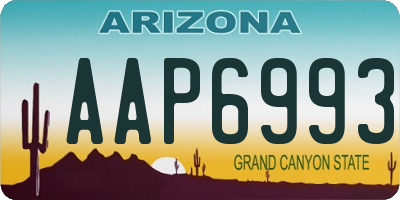 AZ license plate AAP6993