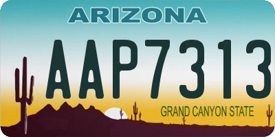 AZ license plate AAP7313