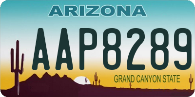 AZ license plate AAP8289