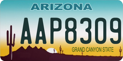AZ license plate AAP8309