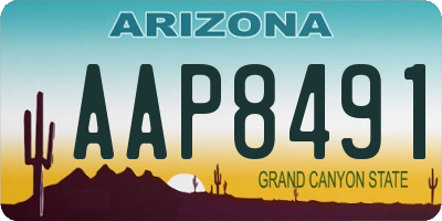 AZ license plate AAP8491