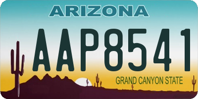 AZ license plate AAP8541