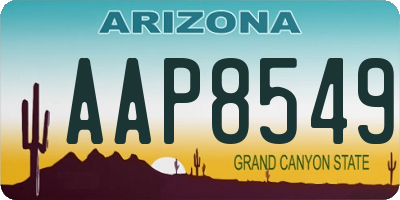 AZ license plate AAP8549
